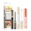 Profi-Finish Set